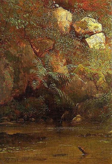 Albert Bierstadt Ferns_and_Rocks_on_an_Embankment Norge oil painting art
